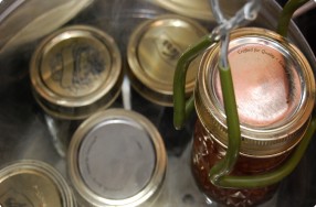 Canning: Boiling Water Method