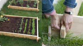 Small Space Gardening (Part 4): Raised Garden Bed Basics