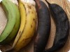 Plantain Stages of Ripeness & Uses