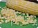 Removing Corn from the Cob
