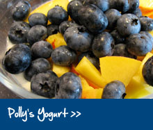 Polly's Yogurt