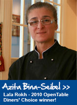 Mirza Ghasmei Azita Bina-Seibel - azita_bina_seibel