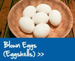 Blown Eggs