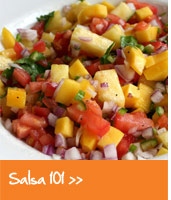 Salsa 101