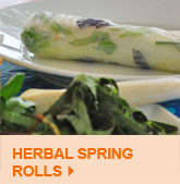 Herbal Spring Rolls