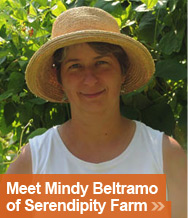 Mindy Beltramo
