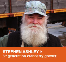 Stephen Ashley