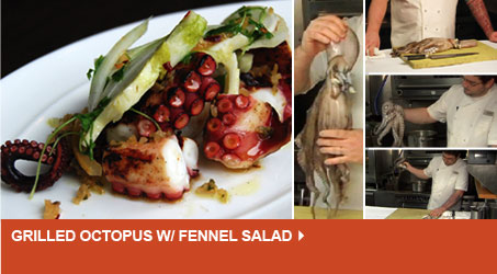 Grilled Octopus w/ Fennel Salad