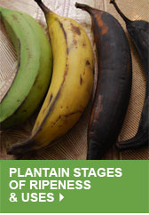 Plantain Stages of Ripeness & Uses