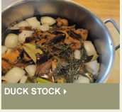 Duck Stock