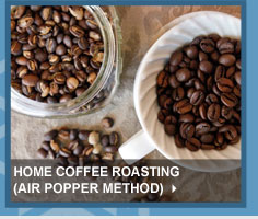Home Coffee Roasting (Air Popper Method)