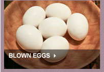 Blown Eggs