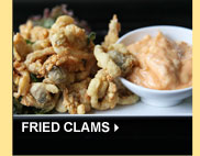 Fried Clams