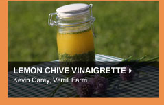 Lemon Chive Vinaigrette