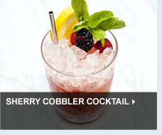 Sherry Cobbler Cocktail